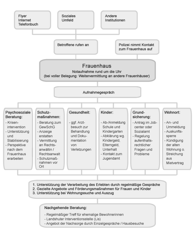 Vorgehensweise der Frauenhäuser bei häuslicher Gewalt